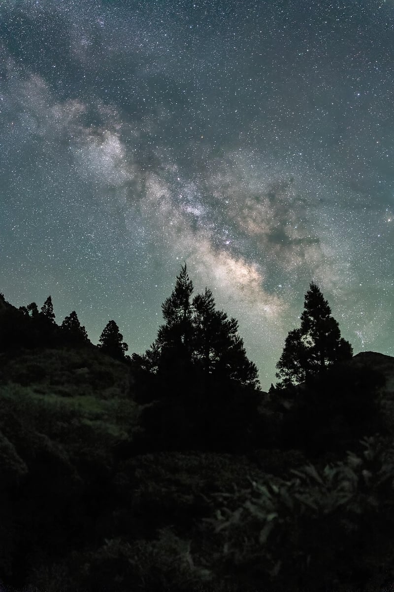 Moon and Stars